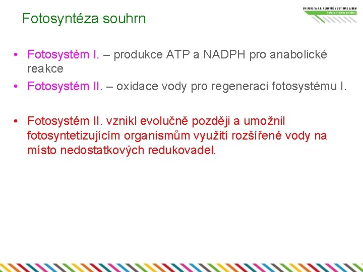 Fotosyntéza souhrn • Fotosystém I. – produkce ATP a NADPH pro anabolické reakce •