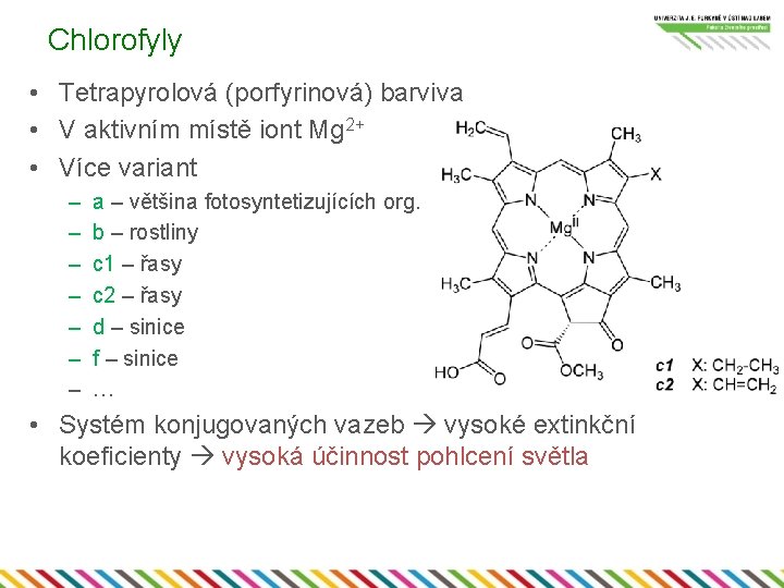 Chlorofyly • Tetrapyrolová (porfyrinová) barviva • V aktivním místě iont Mg 2+ • Více