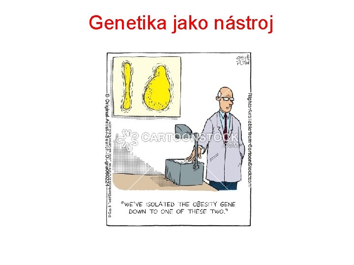 Genetika jako nástroj 