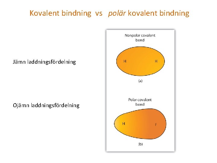  Kovalent bindning vs polär kovalent bindning Jämn laddningsfördelning Ojämn laddningsfördelning 
