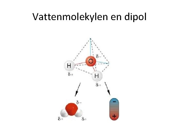 Vattenmolekylen en dipol 