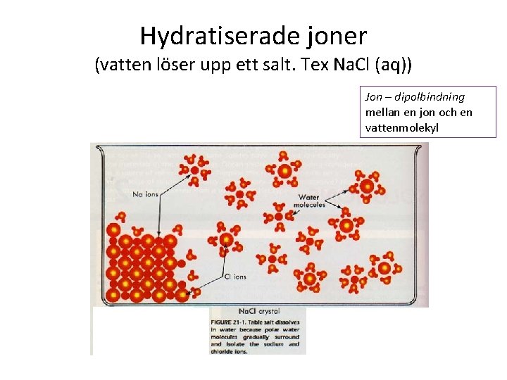 Hydratiserade joner (vatten löser upp ett salt. Tex Na. Cl (aq)) Jon – dipolbindning