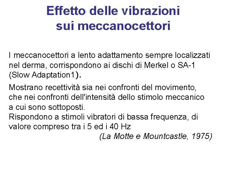 Effetto delle vibrazioni sui meccanocettori I meccanocettori a lento adattamento sempre localizzati nel derma,