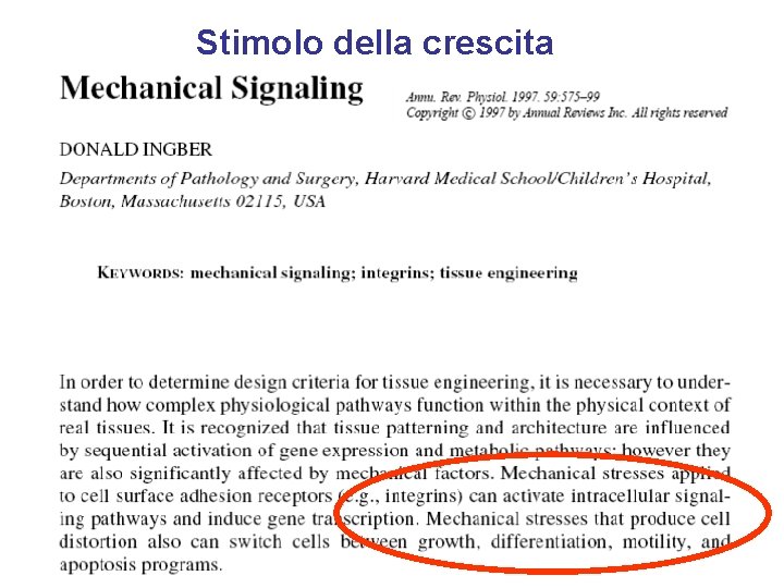 Stimolo della crescita 