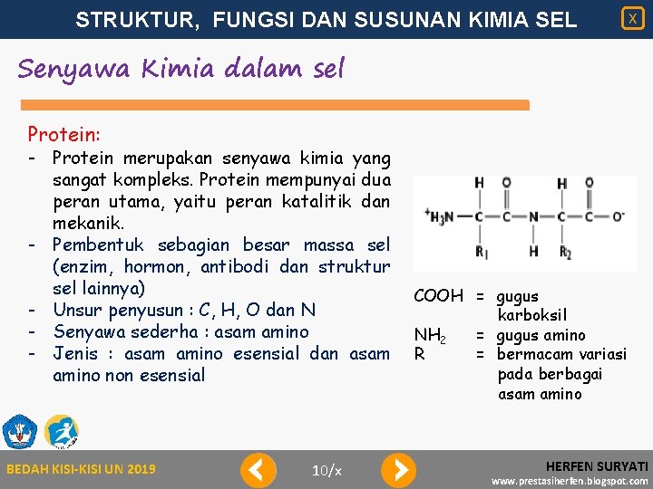 STRUKTUR, FUNGSI DAN SUSUNAN KIMIA SEL X Senyawa Kimia dalam sel Protein: - Protein