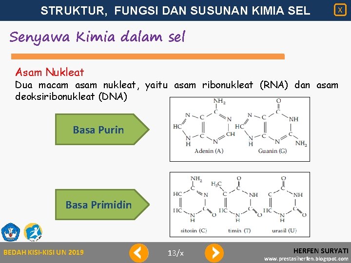 STRUKTUR, FUNGSI DAN SUSUNAN KIMIA SEL X Senyawa Kimia dalam sel Asam Nukleat Dua