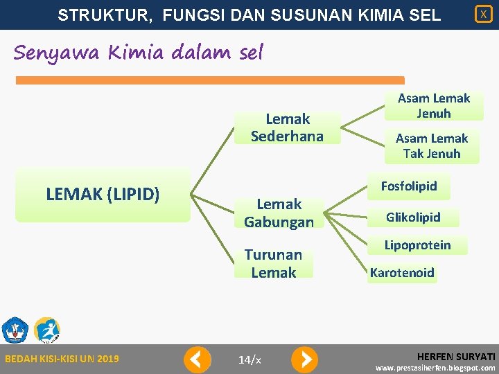 STRUKTUR, FUNGSI DAN SUSUNAN KIMIA SEL X Senyawa Kimia dalam sel Lemak Sederhana LEMAK