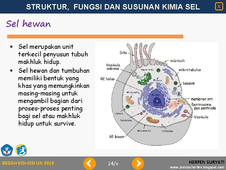 STRUKTUR, FUNGSI DAN SUSUNAN KIMIA SEL X Sel hewan § Sel merupakan unit terkecil