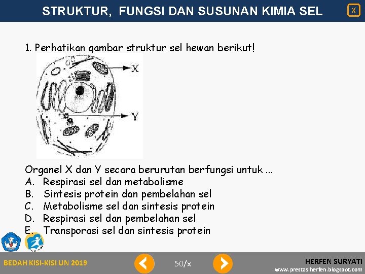 STRUKTUR, FUNGSI DAN SUSUNAN KIMIA SEL X 1. Perhatikan gambar struktur sel hewan berikut!