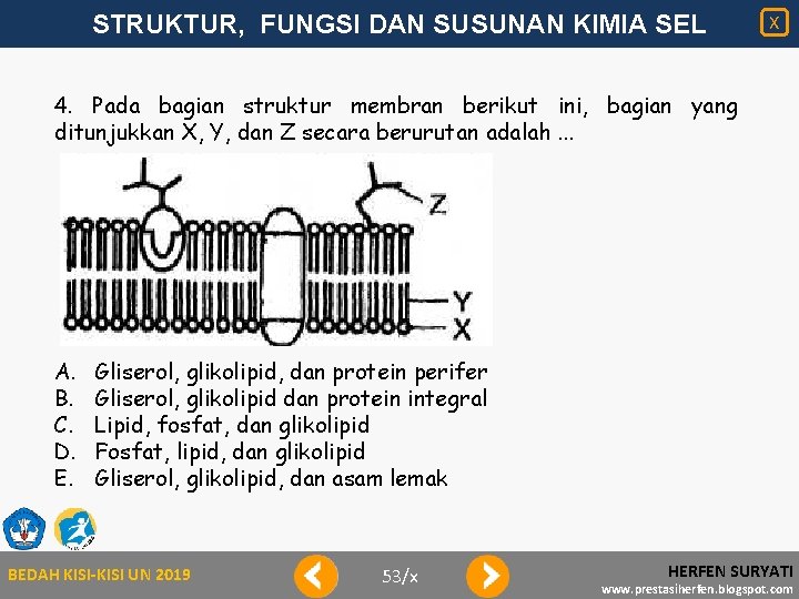 STRUKTUR, FUNGSI DAN SUSUNAN KIMIA SEL X 4. Pada bagian struktur membran berikut ini,