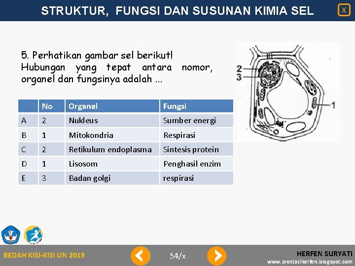 STRUKTUR, FUNGSI DAN SUSUNAN KIMIA SEL X 5. Perhatikan gambar sel berikut! Hubungan yang