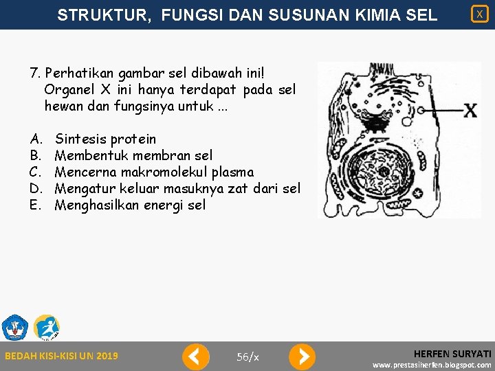 STRUKTUR, FUNGSI DAN SUSUNAN KIMIA SEL X 7. Perhatikan gambar sel dibawah ini! Organel