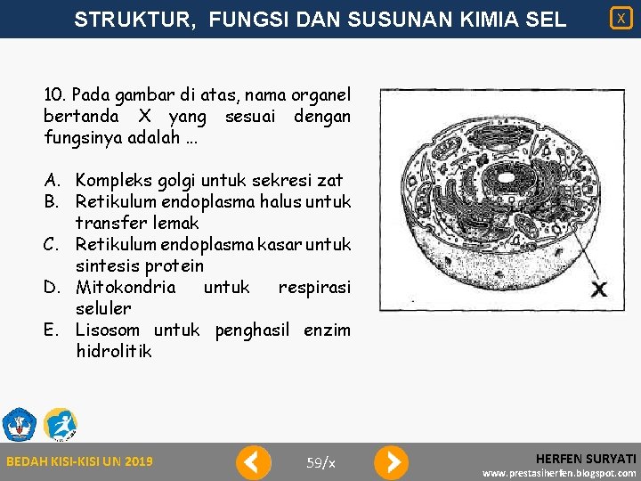 STRUKTUR, FUNGSI DAN SUSUNAN KIMIA SEL X 10. Pada gambar di atas, nama organel