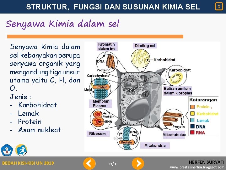 STRUKTUR, FUNGSI DAN SUSUNAN KIMIA SEL X Senyawa Kimia dalam sel Senyawa kimia dalam