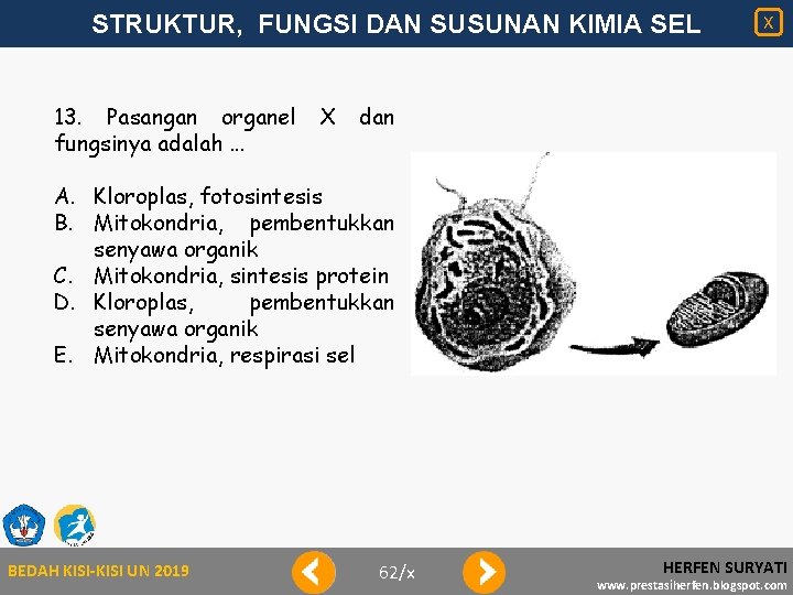 STRUKTUR, FUNGSI DAN SUSUNAN KIMIA SEL 13. Pasangan organel fungsinya adalah. . . X