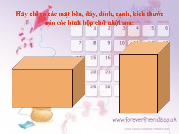 Hãy chỉ ra các mặt bên, đáy, đỉnh, cạnh, kích thước của các hình