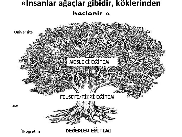  «İnsanlar ağaçlar gibidir, köklerinden beslenir. » Üniversite MESLEKİ EĞİTİM FELSEFİ/FİKRİ EĞİTİM Lise İlköğretim