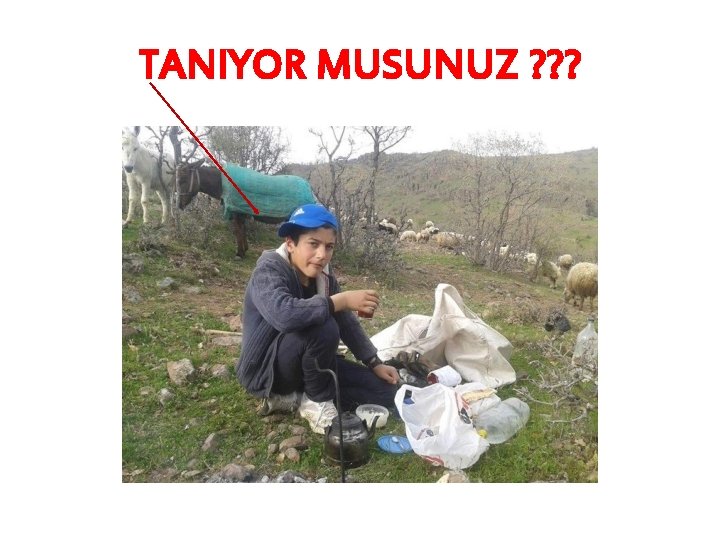 TANIYOR MUSUNUZ ? ? ? 