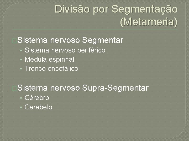 Divisão por Segmentação (Metameria) �Sistema nervoso Segmentar • Sistema nervoso periférico • Medula espinhal