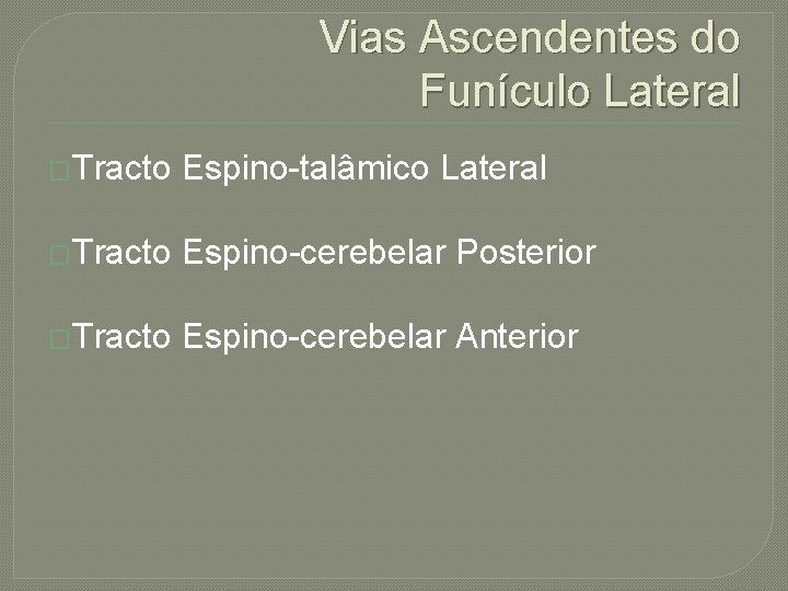 Vias Ascendentes do Funículo Lateral �Tracto Espino-talâmico Lateral �Tracto Espino-cerebelar Posterior �Tracto Espino-cerebelar Anterior