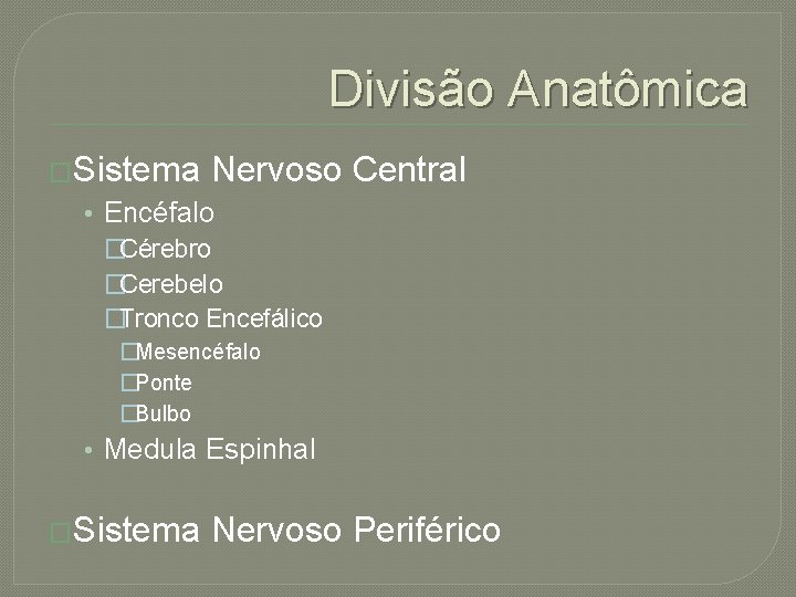 Divisão Anatômica �Sistema Nervoso Central • Encéfalo �Cérebro �Cerebelo �Tronco Encefálico �Mesencéfalo �Ponte �Bulbo