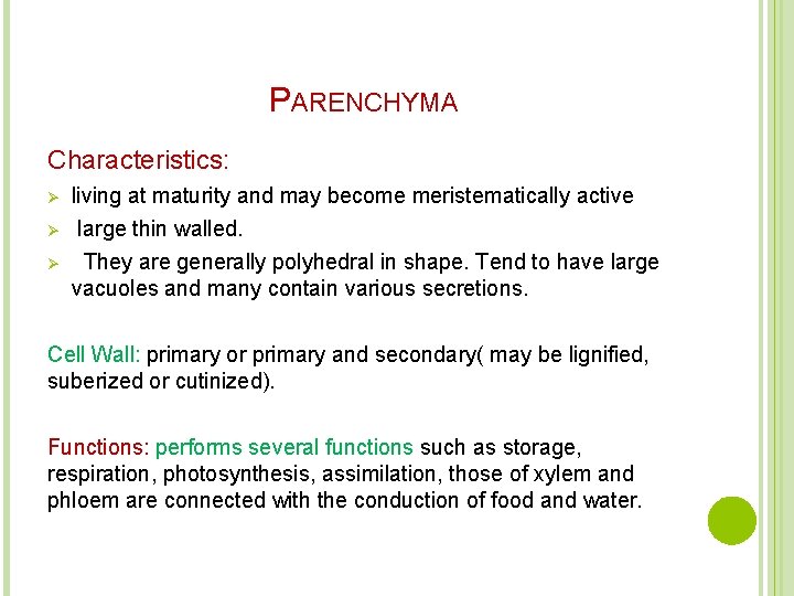 PARENCHYMA Characteristics: Ø living at maturity and may become meristematically active Ø large thin