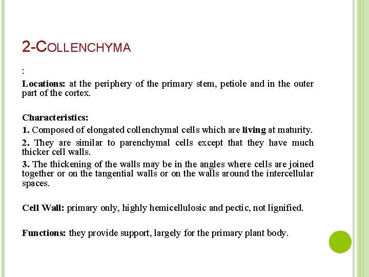 2 -COLLENCHYMA : Locations: at the periphery of the primary stem, petiole and in