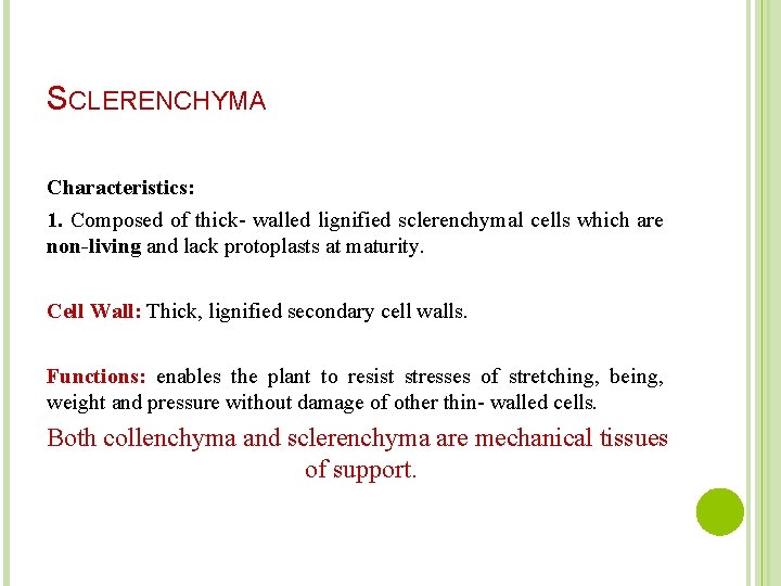 SCLERENCHYMA Characteristics: 1. Composed of thick- walled lignified sclerenchymal cells which are non-living and