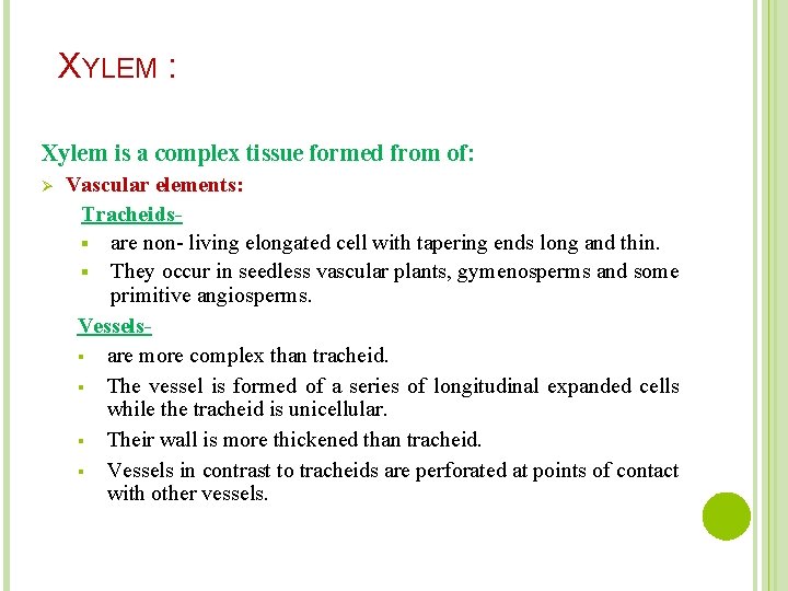 XYLEM : Xylem is a complex tissue formed from of: Ø Vascular elements: Tracheids-