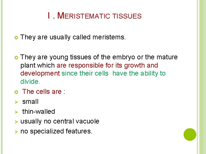 I. MERISTEMATIC TISSUES They are usually called meristems. They are young tissues of the