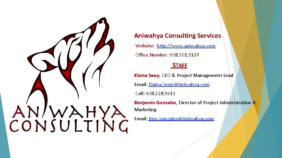 Aniwahya Consulting Services Website: http: //www. aniwahya. com Office Number: 608. 301. 5197 STAFF