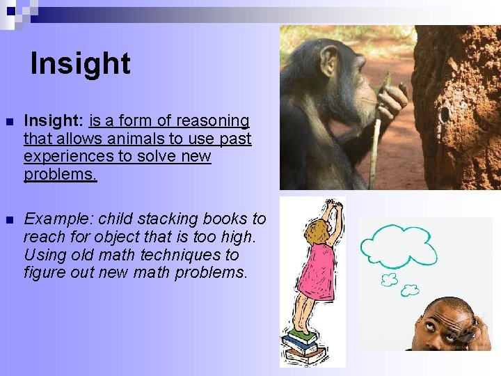 Insight n Insight: is a form of reasoning that allows animals to use past