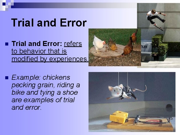 Trial and Error n Trial and Error: refers to behavior that is modified by