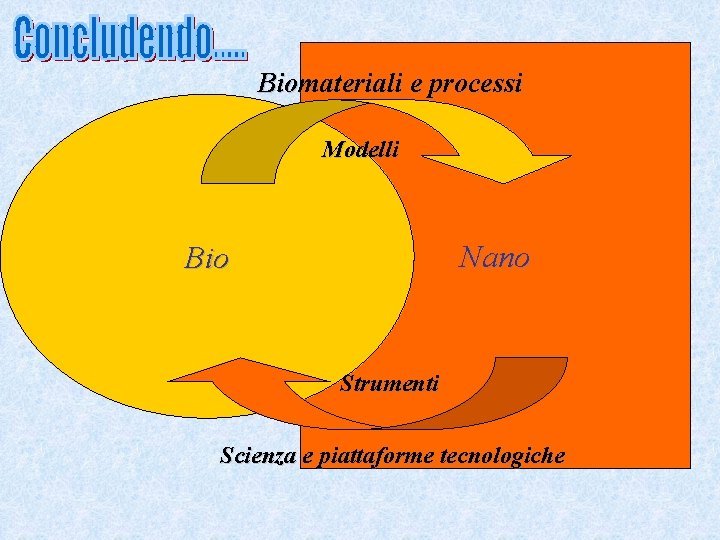 Biomateriali e processi Modelli Nano Bio Strumenti Scienza e piattaforme tecnologiche 