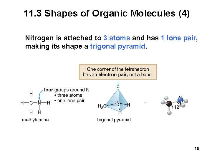 11. 3 Shapes of Organic Molecules (4) Nitrogen is attached to 3 atoms and