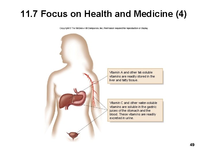 11. 7 Focus on Health and Medicine (4) Vitamin A and other fat-soluble vitamins