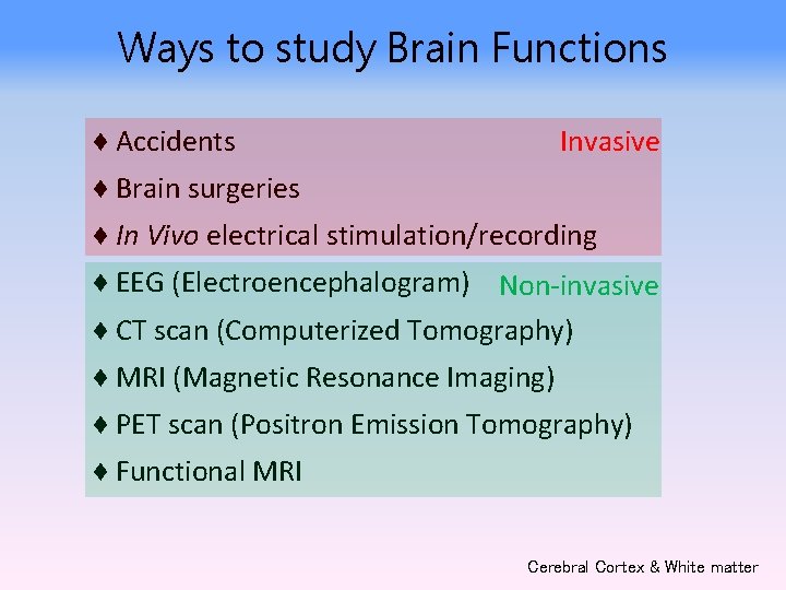 Ways to study Brain Functions Invasive ♦ Accidents ♦ Brain surgeries ♦ In Vivo