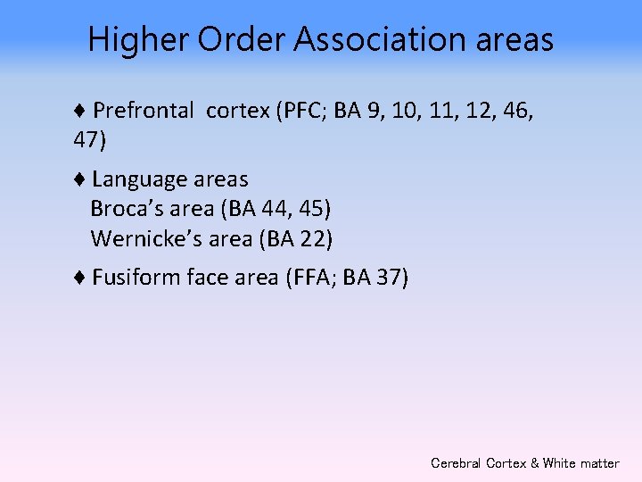 Higher Order Association areas ♦ Prefrontal cortex (PFC; BA 9, 10, 11, 12, 46,