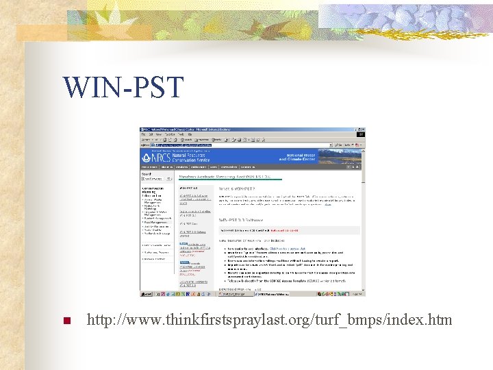 WIN-PST n http: //www. thinkfirstspraylast. org/turf_bmps/index. htm 