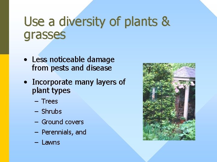Use a diversity of plants & grasses • Less noticeable damage from pests and