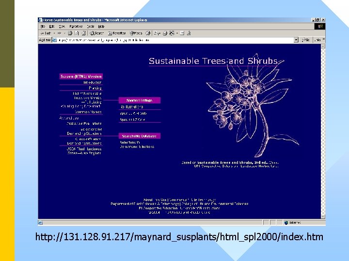 http: //131. 128. 91. 217/maynard_susplants/html_spl 2000/index. htm 
