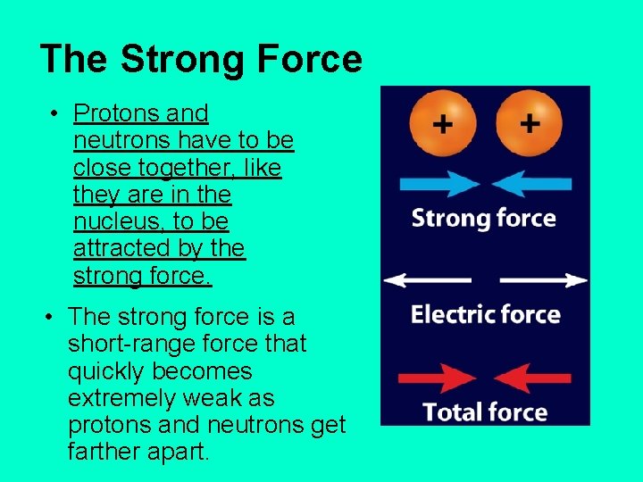 The Strong Force • Protons and neutrons have to be close together, like they