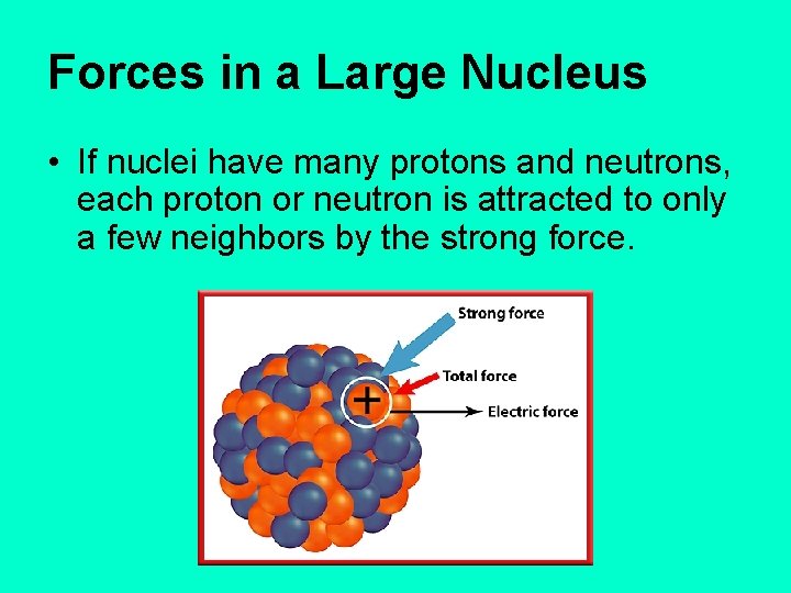 Forces in a Large Nucleus • If nuclei have many protons and neutrons, each