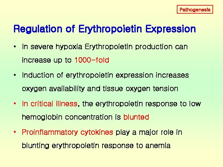 Pathogenesis Regulation of Erythropoietin Expression • In severe hypoxia Erythropoietin production can increase up