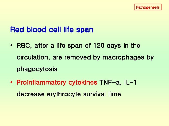 Pathogenesis Red blood cell life span • RBC, after a life span of 120