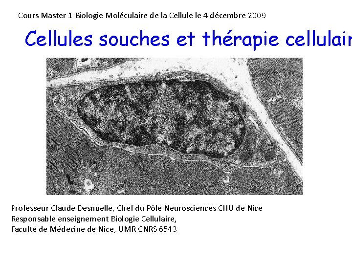 Cours Master 1 Biologie Moléculaire de la Cellule le 4 décembre 2009 Cellules souches