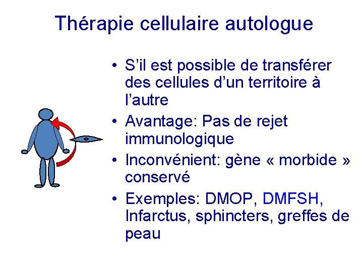 Thérapie cellulaire autologue • S’il est possible de transférer des cellules d’un territoire à