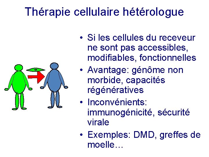 Thérapie cellulaire hétérologue • Si les cellules du receveur ne sont pas accessibles, modifiables,