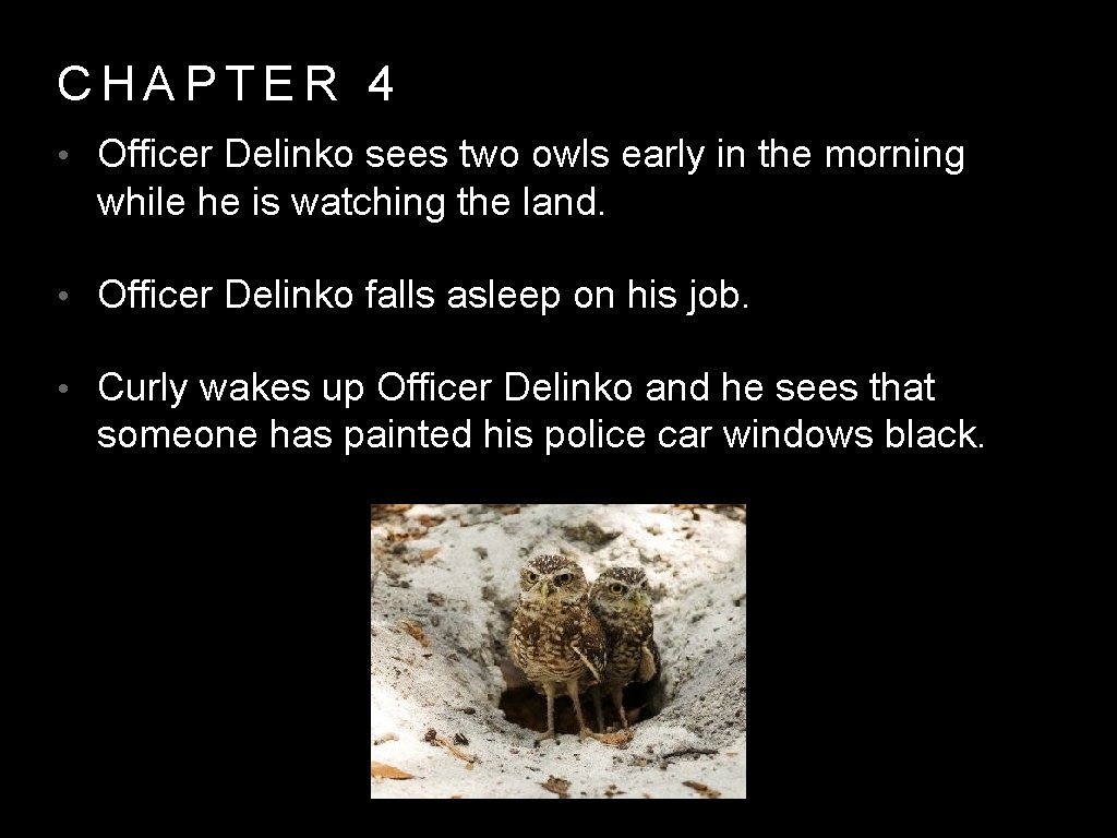 CHAPTER 4 • Officer Delinko sees two owls early in the morning while he