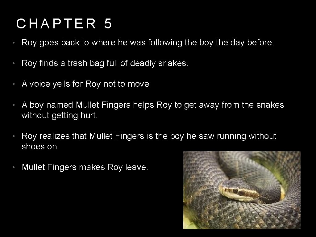 CHAPTER 5 • Roy goes back to where he was following the boy the